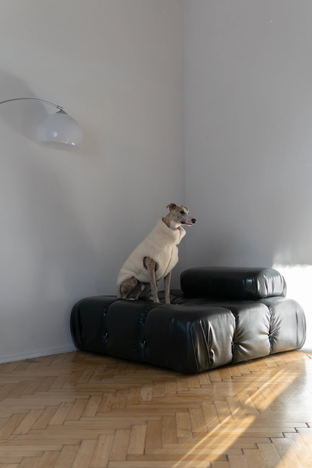 MELLOW — niebieska wełniana kamizelka dla psa