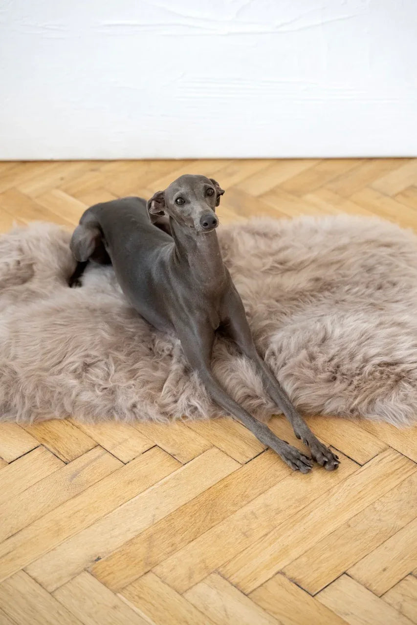 MELLOW — szarobeżowa mata ze skóry owczej dla zwierząt