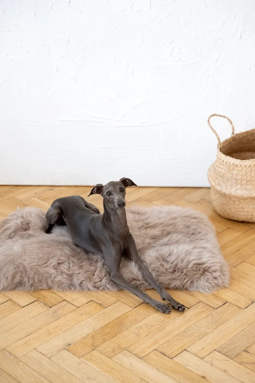 MELLOW — szarobeżowa mata ze skóry owczej dla zwierząt